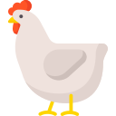 chicken