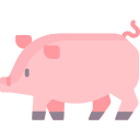 pig