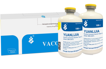 Porcine Circovirus Vaccine Type 2, Inactivated (Strain DBN-SX07)