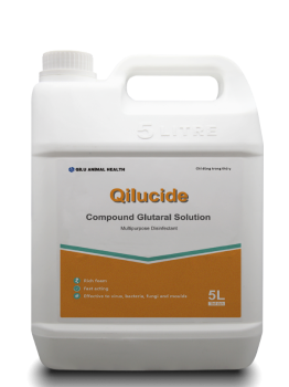 QILUCIDE                 Compound Glutaral Solution